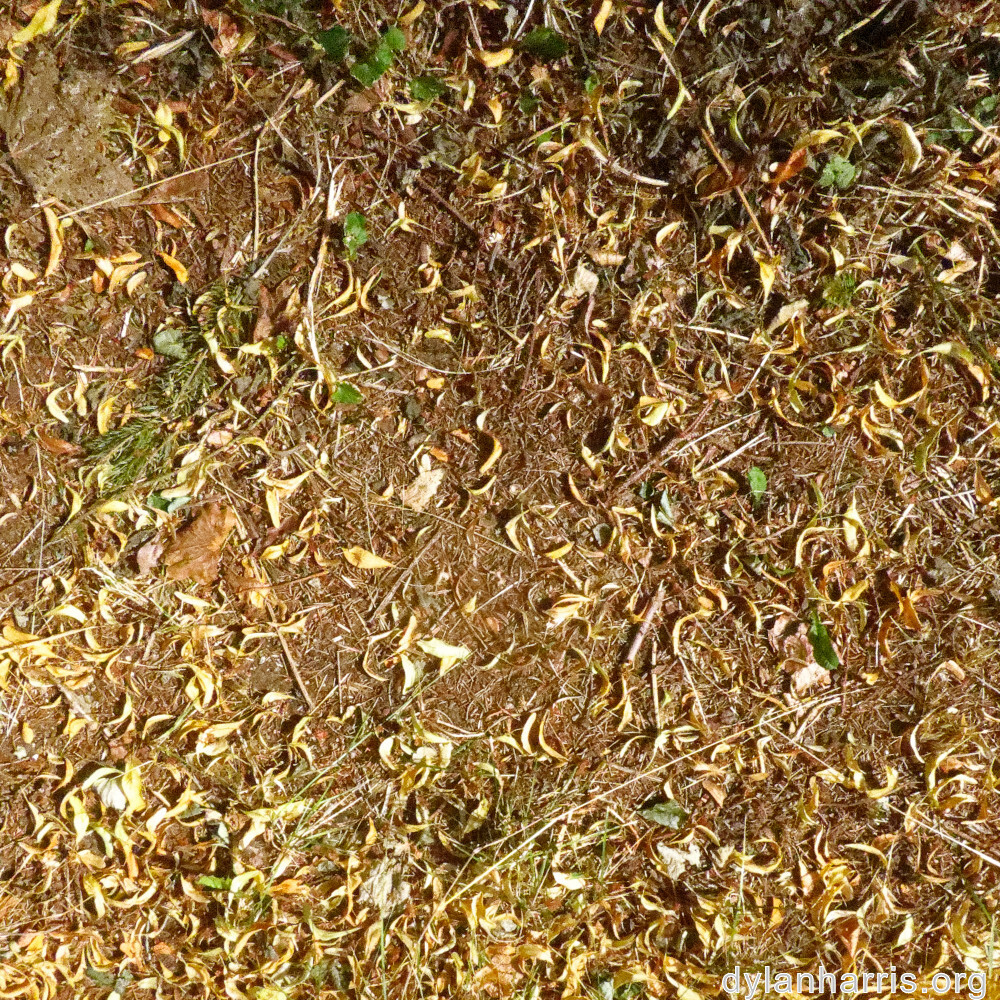 image: This is &lsquo;differdange 1&rsquo;.