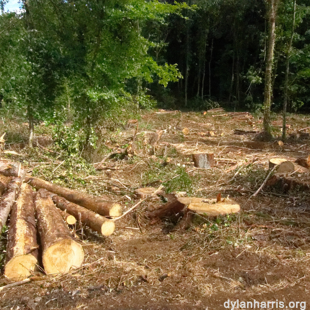 image: This is &lsquo;differdange 2&rsquo;.