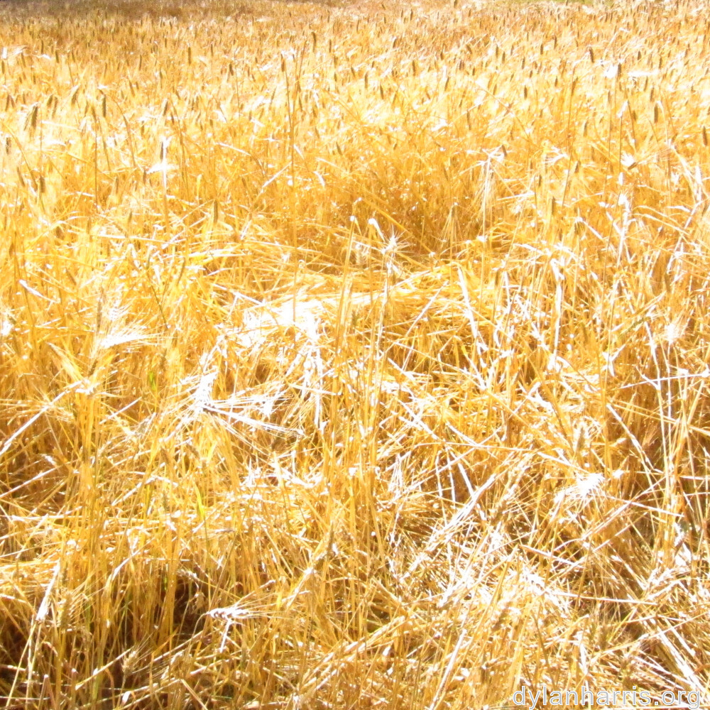 image: This is &lsquo;differdange 3&rsquo;.