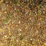 image: Image from the photoset &lsquo;differdange (ii)&rsquo;.