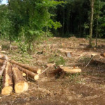 image: Image from the photoset &lsquo;differdange (ii)&rsquo;.