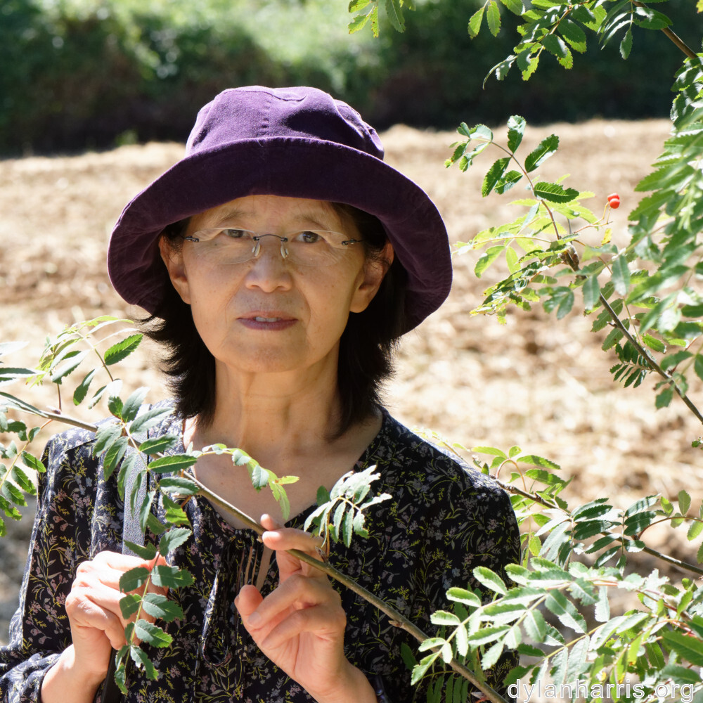 image: This is &lsquo;L (xxxvii) 1&rsquo;.