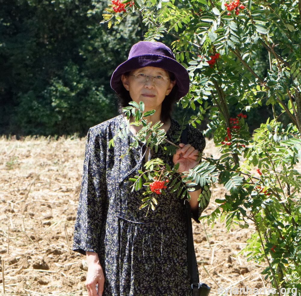 image: This is &lsquo;L (xxxvii) 2&rsquo;.