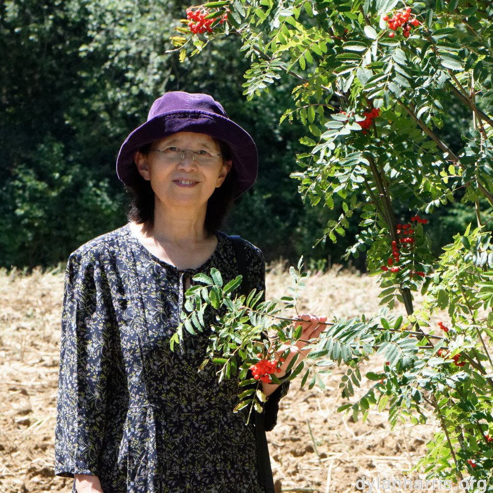 image: This is &lsquo;L (xxxvii) 3&rsquo;.