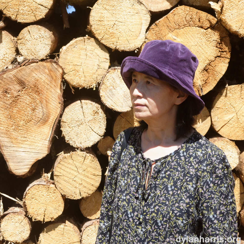 image: This is &lsquo;L (xxxvii) 5&rsquo;.