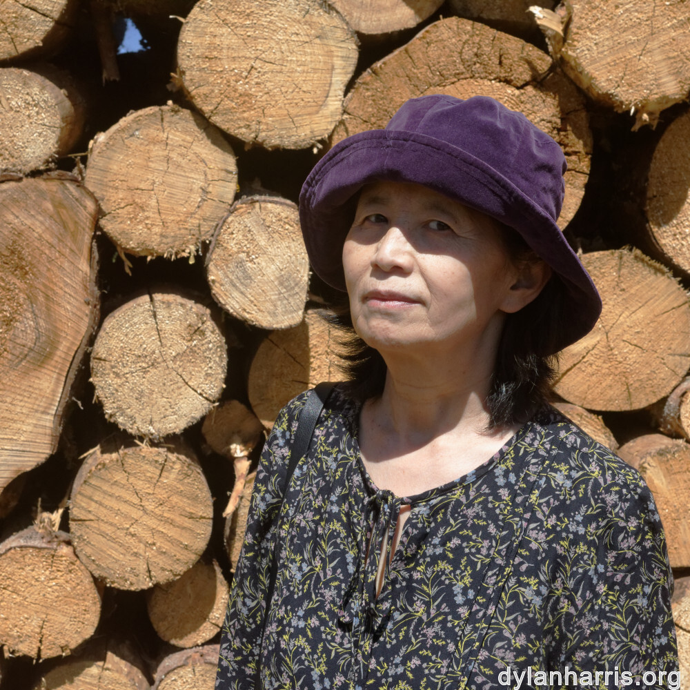 image: This is &lsquo;L (xxxvii) &rsquo;.