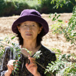 image: Image from the photoset &lsquo;L (xxxvii)&rsquo;.