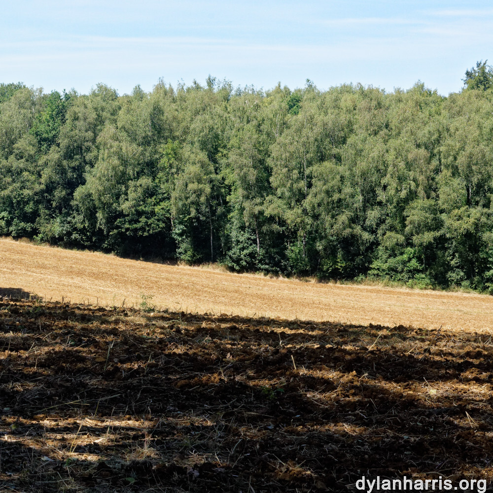 image: This is &lsquo;differdange 1&rsquo;.