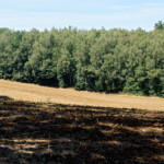 image: Image from the photoset &lsquo;differdange (iii)&rsquo;.