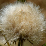 image: Image from the photoset &lsquo;differdange (iii)&rsquo;.