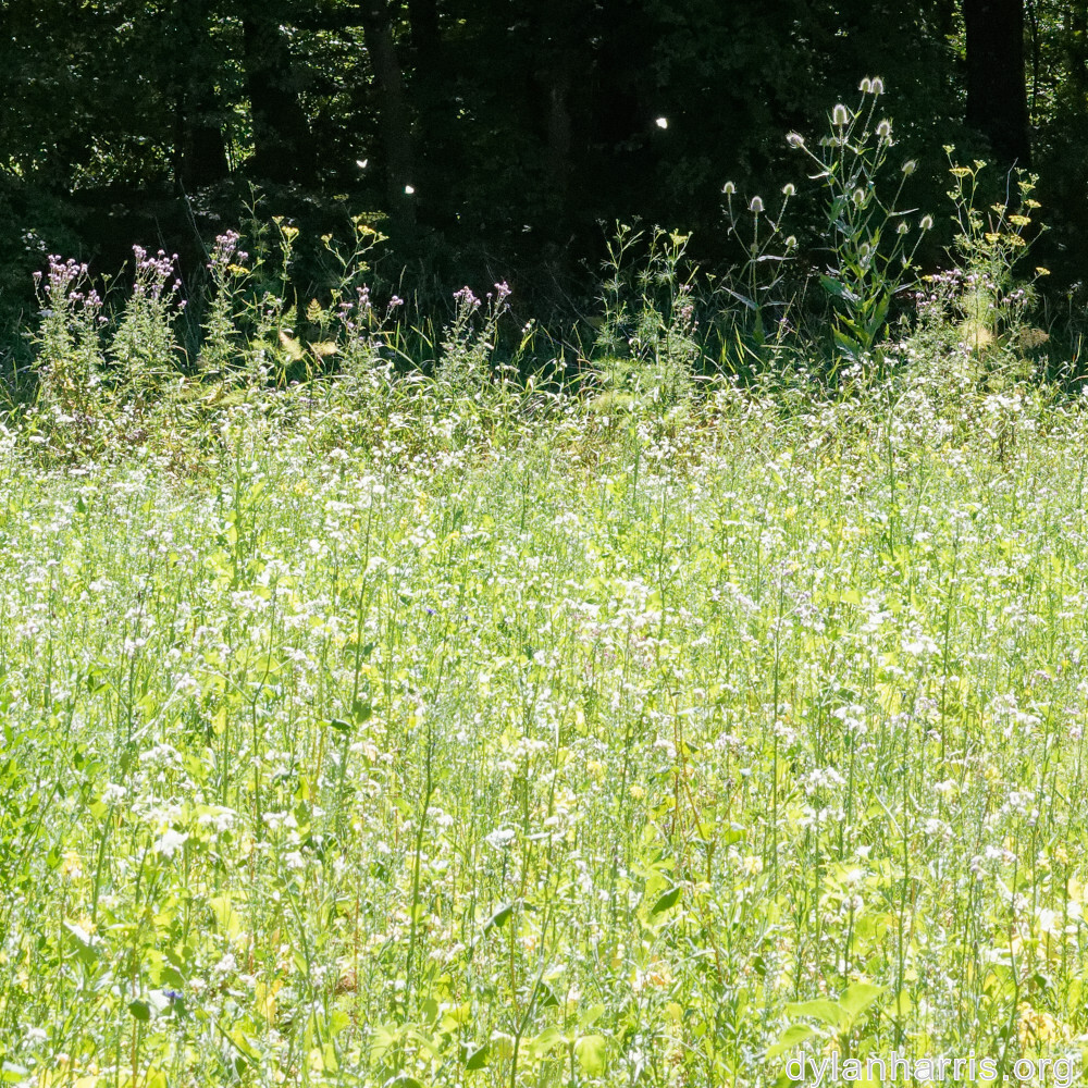 image: This is &lsquo;rumelange 1&rsquo;.