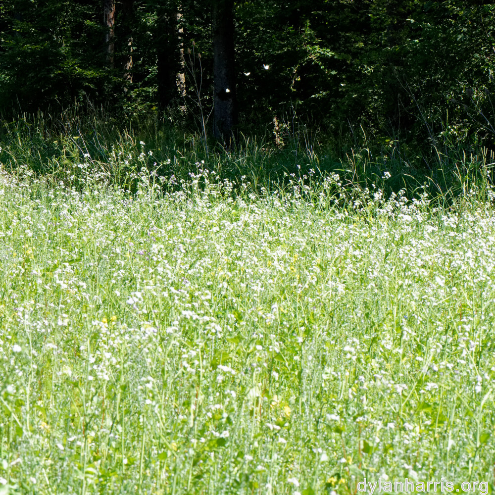 image: This is &lsquo;rumelange 4&rsquo;.