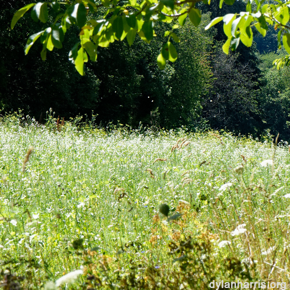 image: This is &lsquo;rumelange 5&rsquo;.