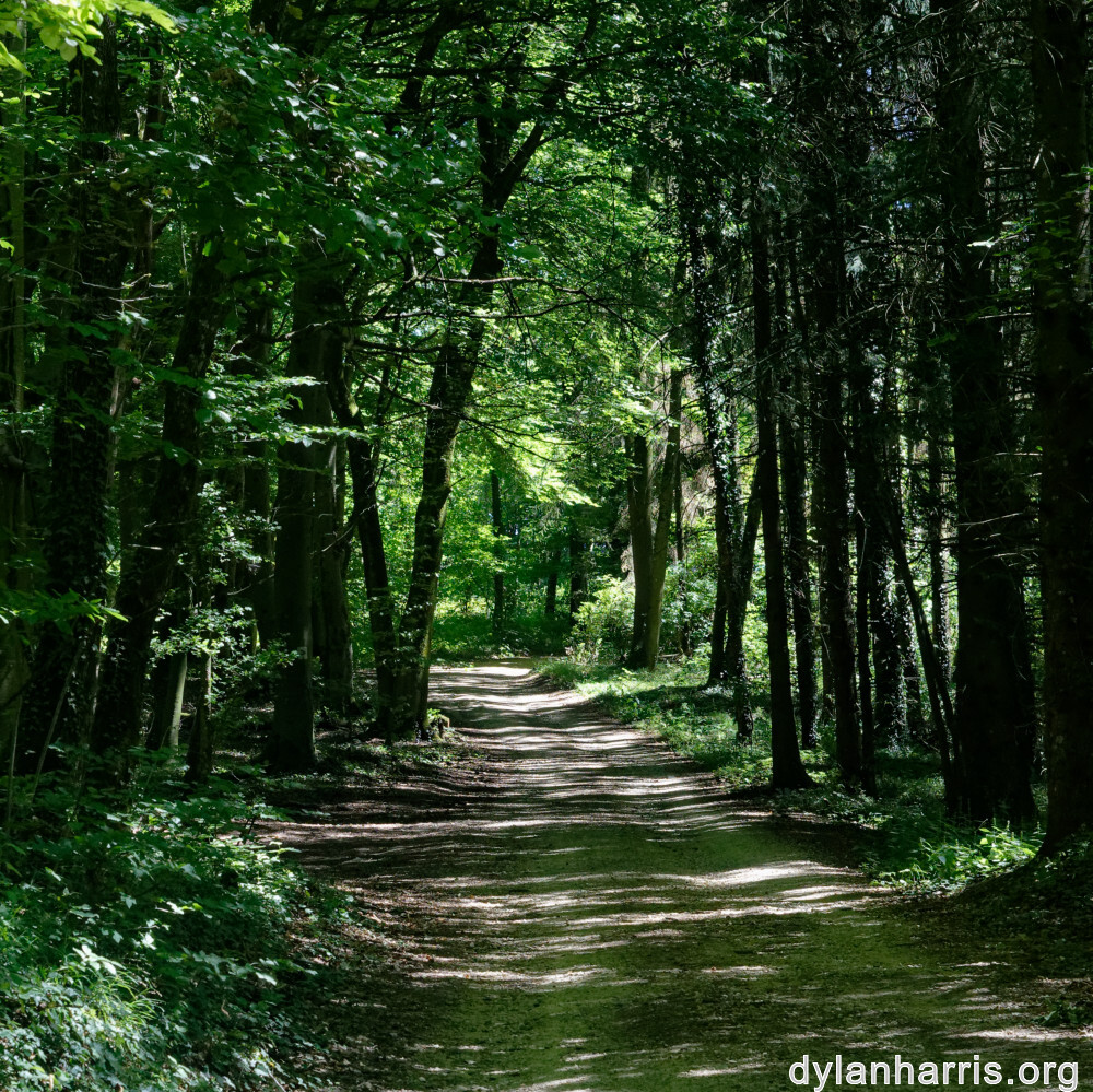 image: This is &lsquo;rumelange 6&rsquo;.