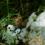 image: Image from the photoset &lsquo;rumelange (x)&rsquo;.