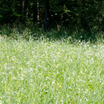 image: Image from the photoset &lsquo;rumelange (x)&rsquo;.