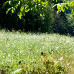 image: Image from the photoset &lsquo;rumelange (x)&rsquo;.