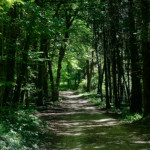 image: Image from the photoset &lsquo;rumelange (x)&rsquo;.