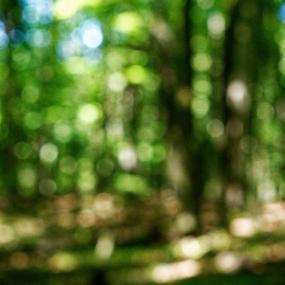 image: This is &lsquo;rumelange 6&rsquo;.