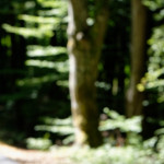 image: Image from the photoset &lsquo;rumelange (xi)&rsquo;.