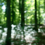 image: rumelange (xi) photoset