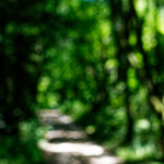 image: Image from the photoset &lsquo;rumelange (xi)&rsquo;.