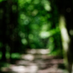 image: Image from the photoset &lsquo;rumelange (xi)&rsquo;.