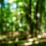 image: Image from the photoset &lsquo;rumelange (xi)&rsquo;.