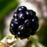 image: Image from the photoset &lsquo;kayl (vi)&rsquo;.