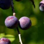 image: Image from the photoset &lsquo;kayl (vi)&rsquo;.