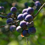 image: Image from the photoset &lsquo;kayl (vi)&rsquo;.