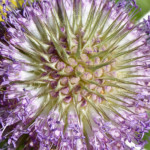 image: Image from the photoset &lsquo;kayl (vi)&rsquo;.