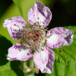 image: Image from the photoset &lsquo;kayl (vi)&rsquo;.