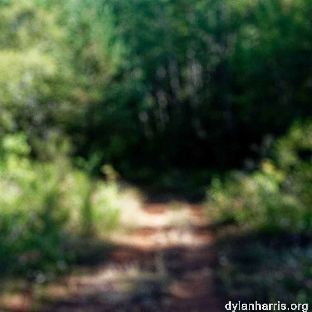 image: This is &lsquo;kayl 1&rsquo;.