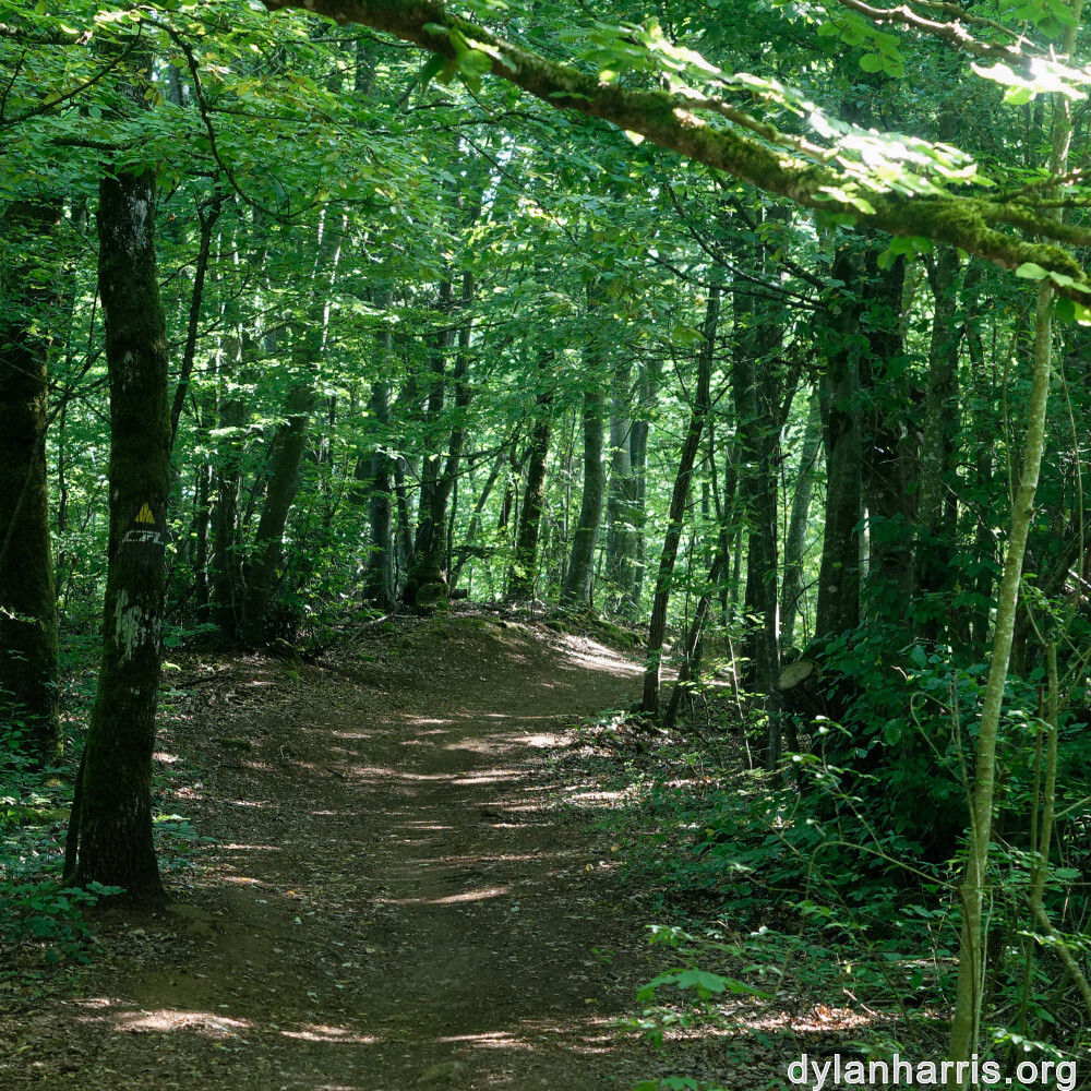 image: This is &lsquo;kayl 2&rsquo;.