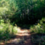 image: Image from the photoset &lsquo;kayl (vii)&rsquo;.