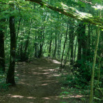 image: Image from the photoset &lsquo;kayl (vii)&rsquo;.