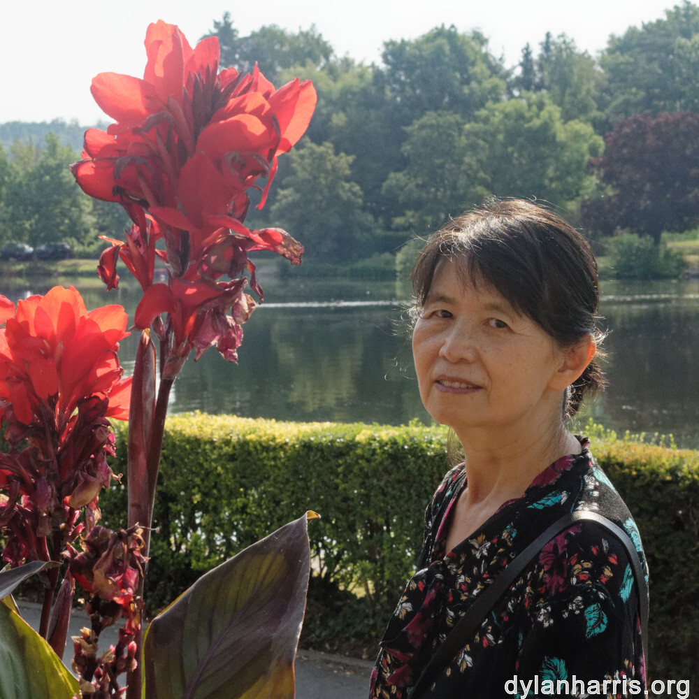 image: This is &lsquo;L (xxxviii) 4&rsquo;.