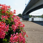 image: Image from the photoset &lsquo;remich (i)&rsquo;.