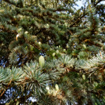 image: Image from the photoset &lsquo;remich (ii)&rsquo;.