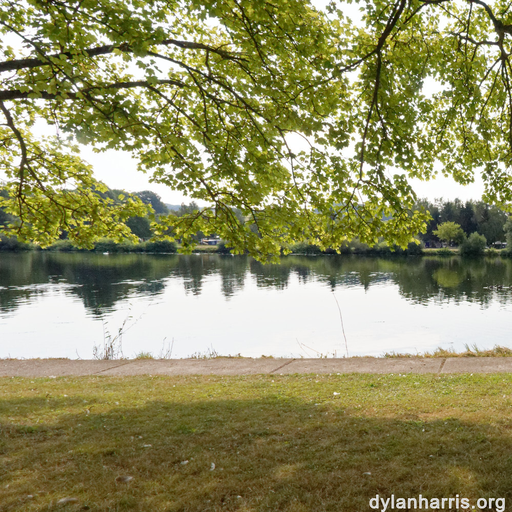 image: This is &lsquo;remich 3&rsquo;.