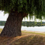 image: Image from the photoset &lsquo;remich (iii)&rsquo;.