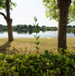 image: Image from the photoset &lsquo;remich (iii)&rsquo;.