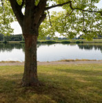 image: Image from the photoset &lsquo;remich (iii)&rsquo;.