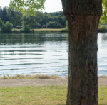 image: Image from the photoset &lsquo;remich (iii)&rsquo;.