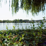 image: Image from the photoset &lsquo;remich (iii)&rsquo;.