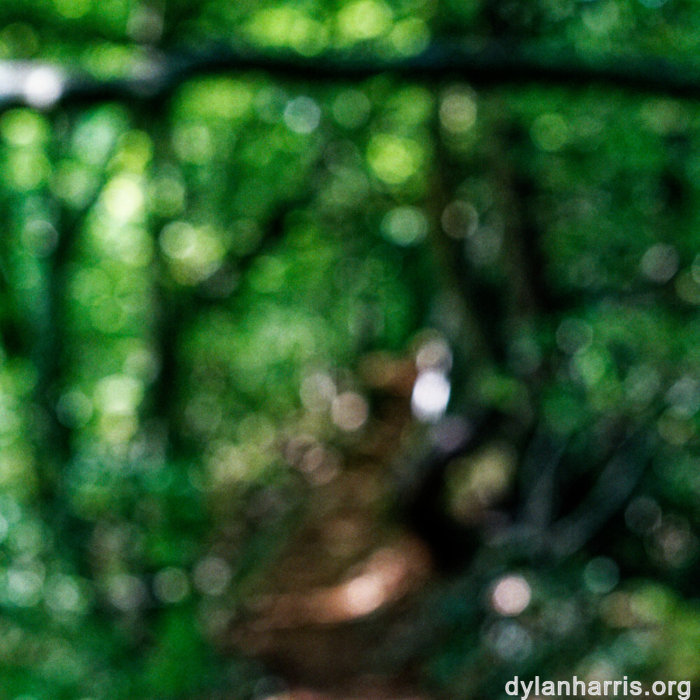 image: This is &lsquo;belvaux (viii) 1&rsquo;.