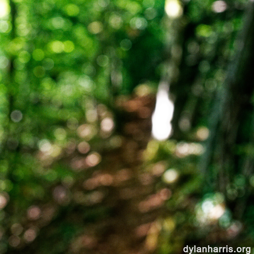 image: This is &lsquo;belvaux (viii) 2&rsquo;.