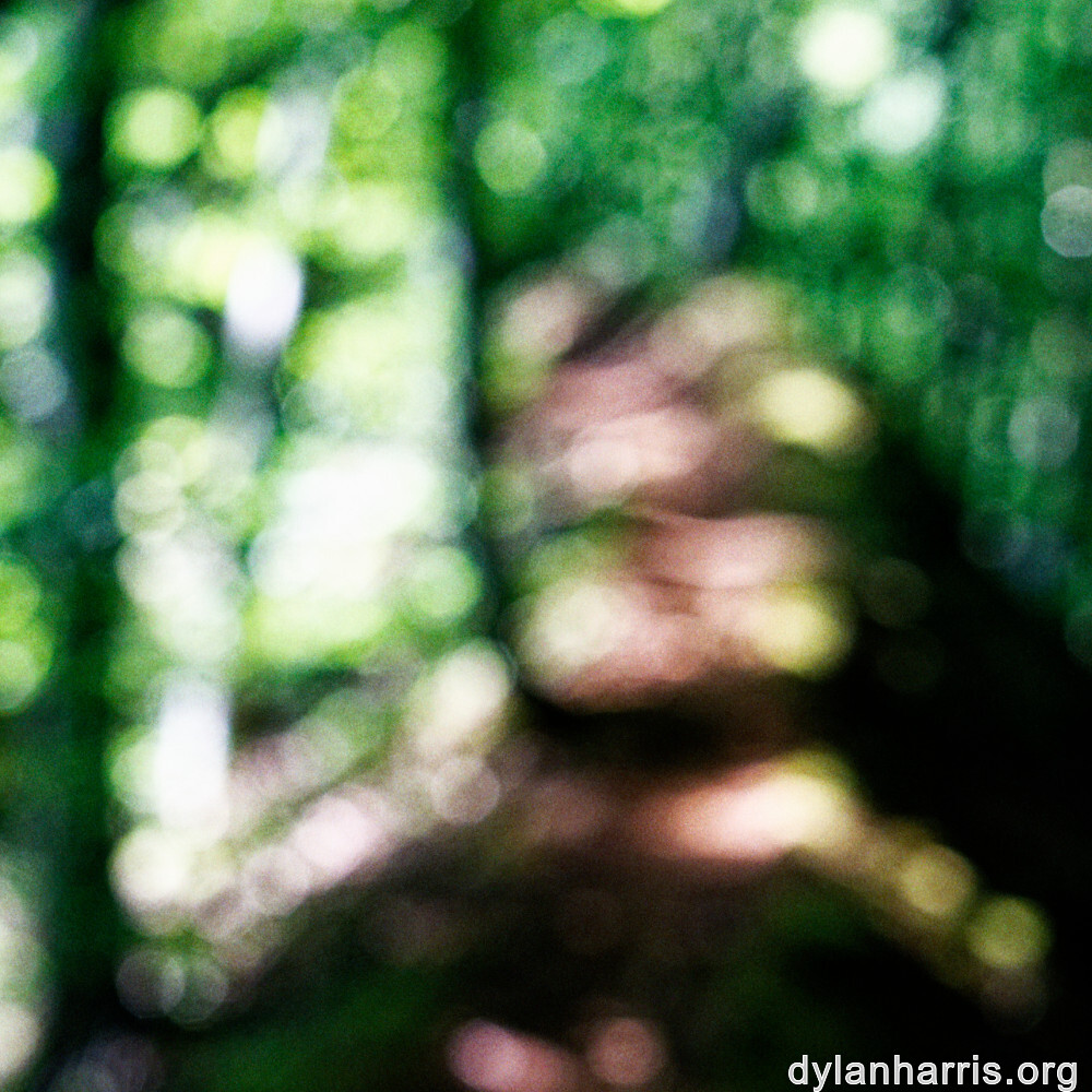 image: This is &lsquo;belvaux (viii) 3&rsquo;.