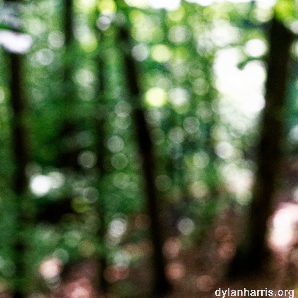 image: This is &lsquo;belvaux (viii) 4&rsquo;.